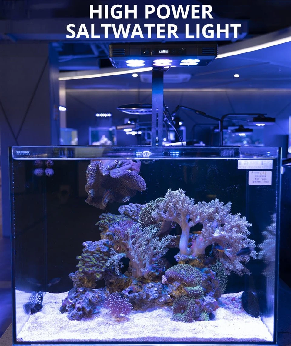 Coral Farming LED Aquarium Light manufacturers